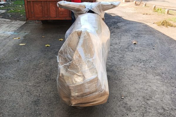 WhatsApp Image 2024-03-17 at 12.12.16 PM